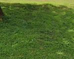 thumbnail-tanah-citraland-di-raya-rafles-garden-double-way-0