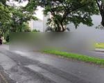 thumbnail-dijual-rumah-citraland-rafles-garden-dekat-gwalk-11