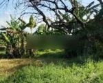 thumbnail-tanah-industri-pasuruan-wonorejo-dekat-tol-nol-jalan-0