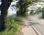 thumbnail-tanah-industri-pasuruan-wonorejo-dekat-tol-nol-jalan-1
